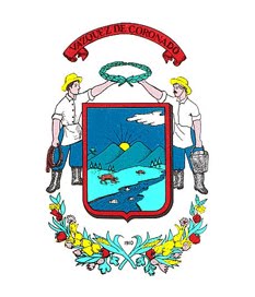 Escudo cantón de Vásques de Coronado